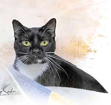 Photo of Gertie