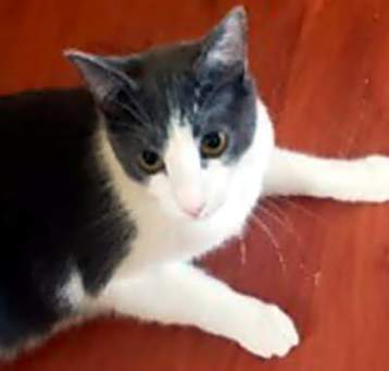 Photo of Gloria