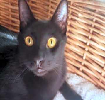 Photo of Lucas