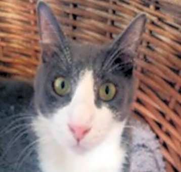 Photo of Grayson