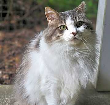 Photo of Mona