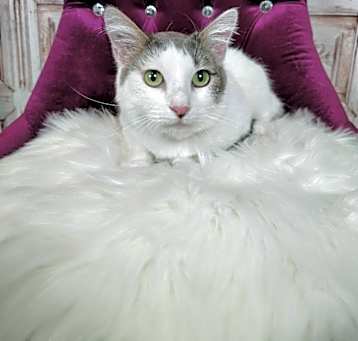 Photo of Maya