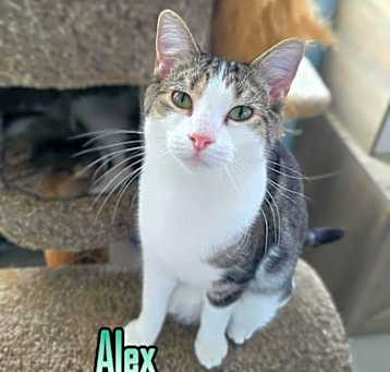 Photo of Alex