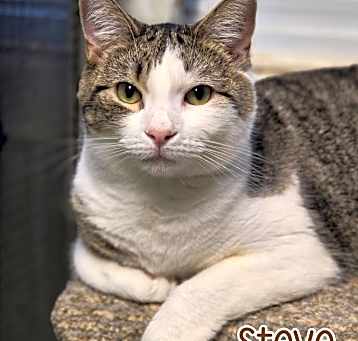Photo of Steve