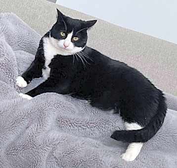 Photo of Buddy