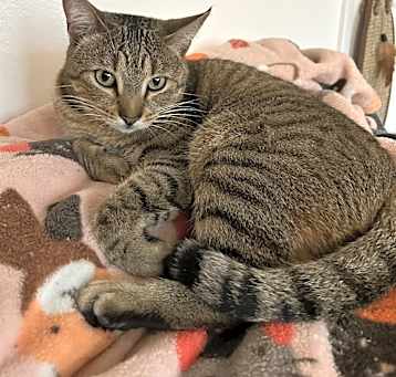 Photo of Kiwi