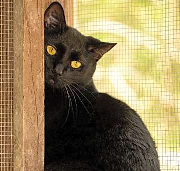 Photo of Katrina