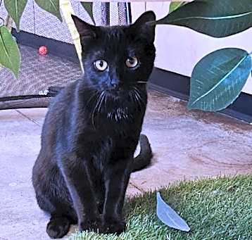 Photo of Princess