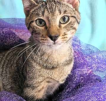 Photo of Hester