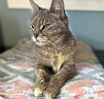 Photo of Gertie