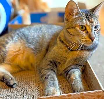 Photo of Buttons