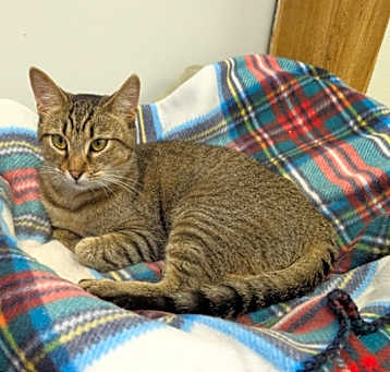 Photo of Lunchbox