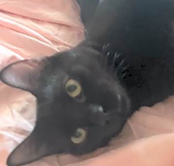 Photo of Bronx