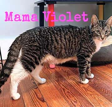 Photo of Momma Violet