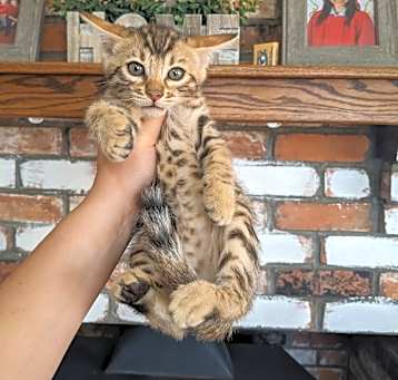 Photo of Zuko