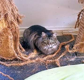 Photo of Mia