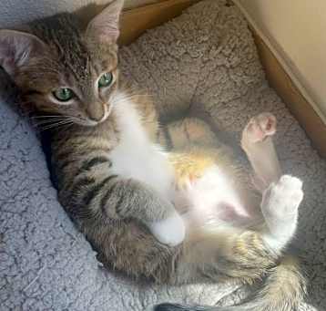 Photo of Hazel
