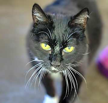 Photo of Gigi Bonnie