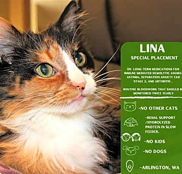 Photo of Lina