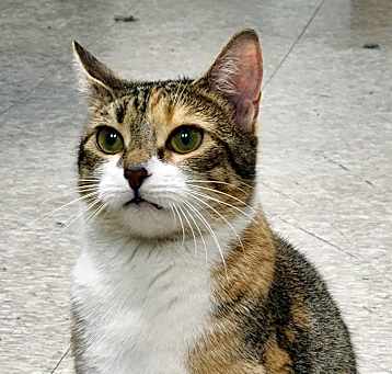 Photo of Minnie