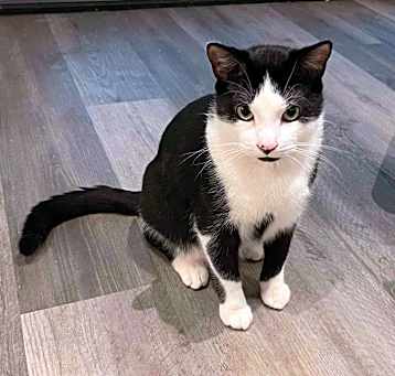 Photo of Mr. Moo
