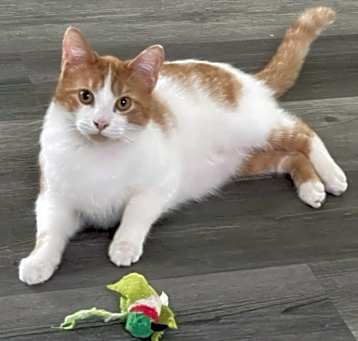 Photo of Stewie