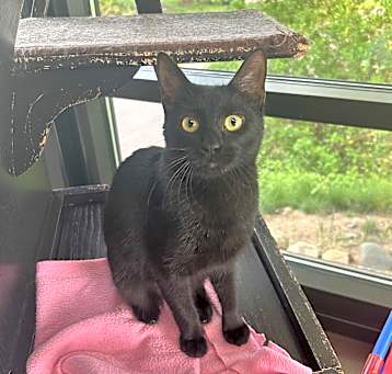 Photo of Echo