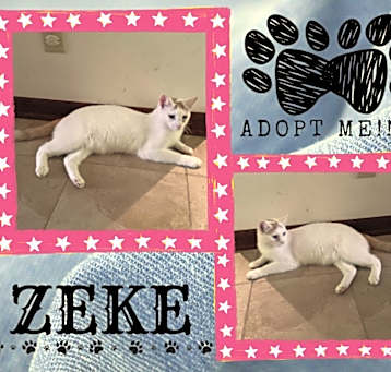 Photo of Zeke