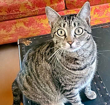 Photo of Zena