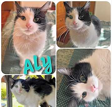 Photo of Aly