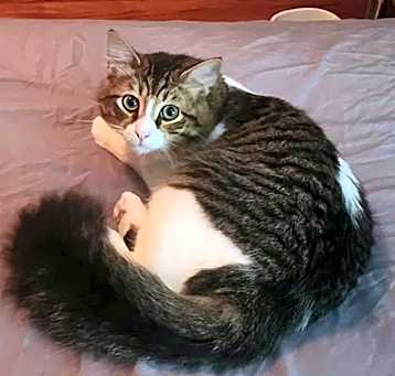 Photo of Dante