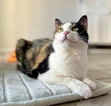 Photo of Frannie