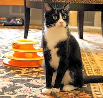 Photo of Pip