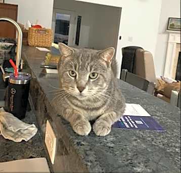 Photo of Simon