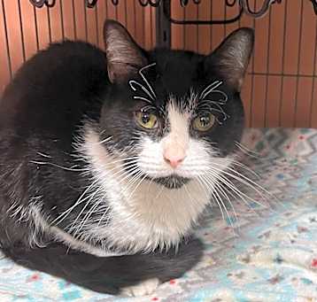 Photo of ENDER
