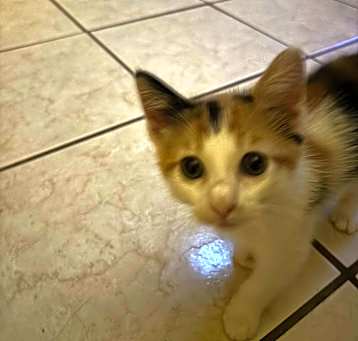Photo of Mimi