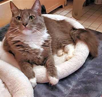 Photo of Angel