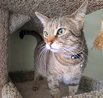 Photo of Mama Feisty