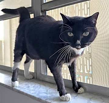 Photo of Cassina