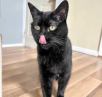 Photo of Sheila