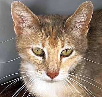 Photo of Bonnie
