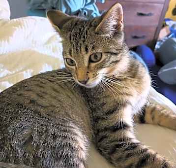 Photo of Alastor