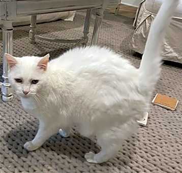 Photo of Lilly
