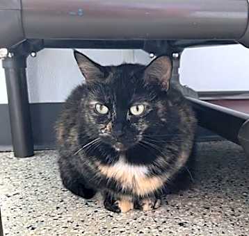 Photo of Twix
