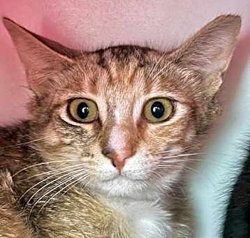 Photo of Jillian