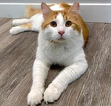 Photo of Big Red