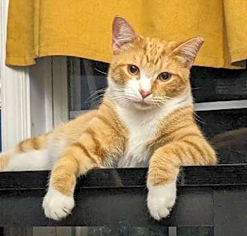 Photo of ROCKET (COURTESY POST)