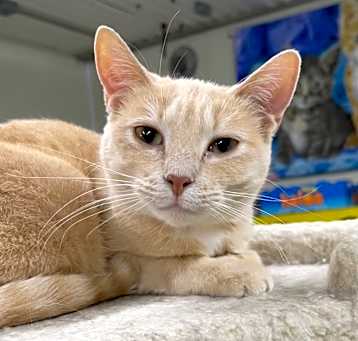 Photo of NALA