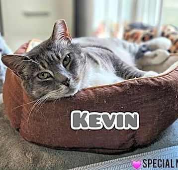 Photo of Kevin