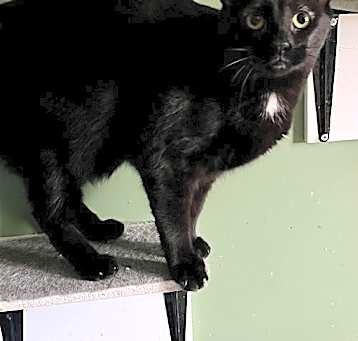 Photo of Luna